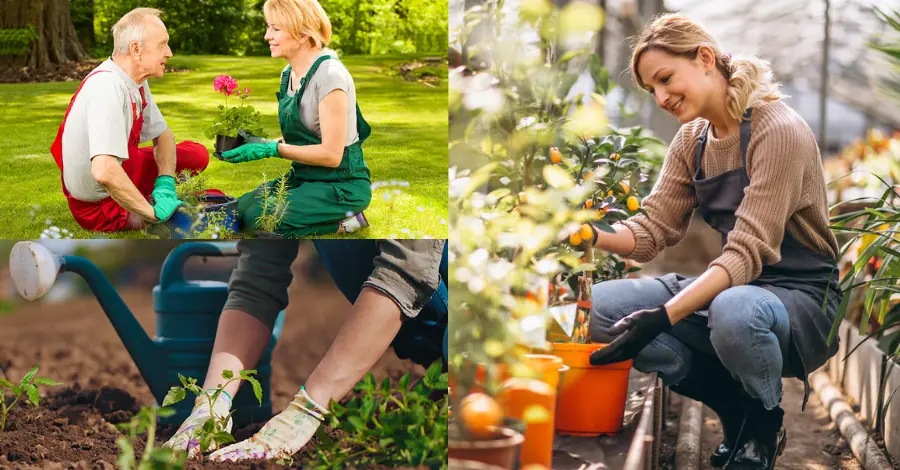 Benefícios da Jardinagem para a Saúde Mental