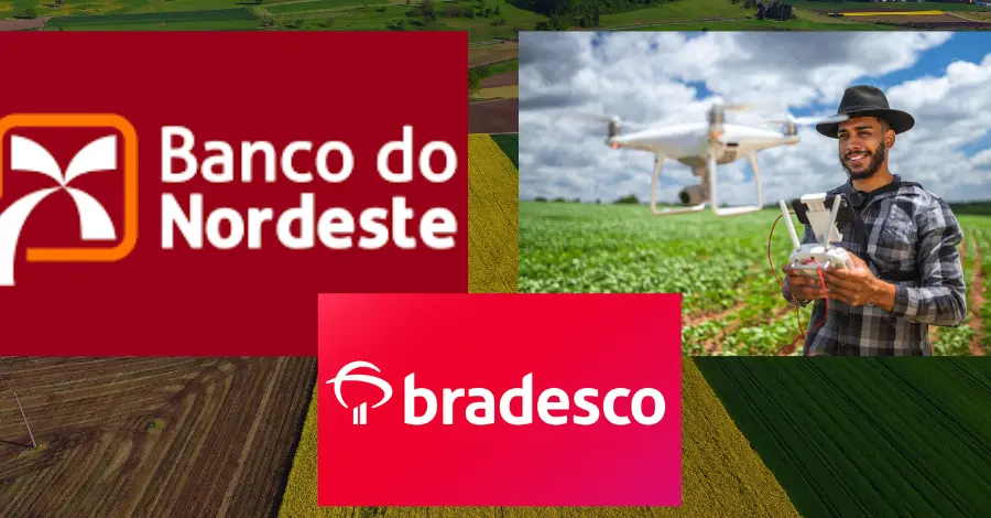 Melhores Bancos para o Agronegócio em 2024