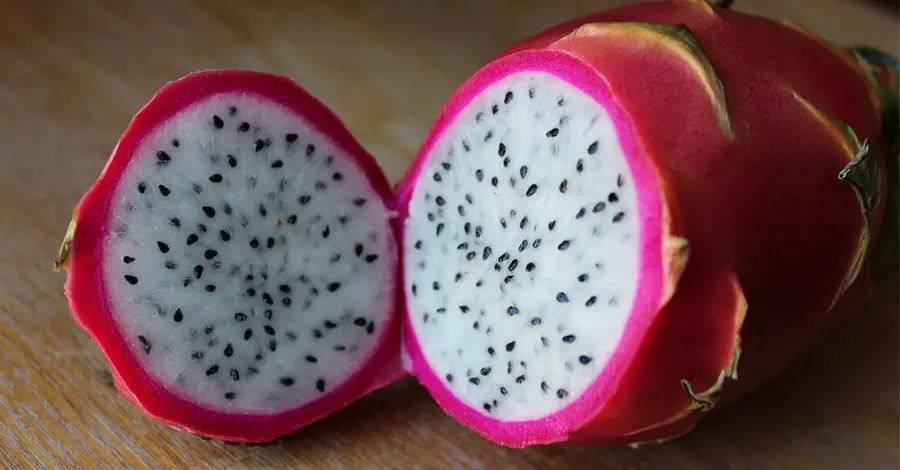 Como Plantar Pitaya Aprenda com esse Guia Completo